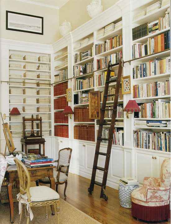 Library Ladder Shelves