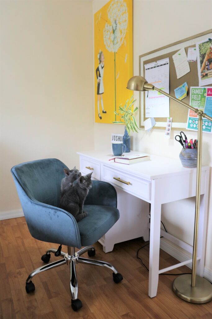 Types of Home Office on a Budget