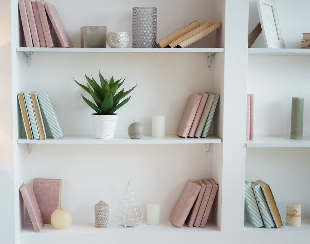 book shelf with plants and books placed on shelves