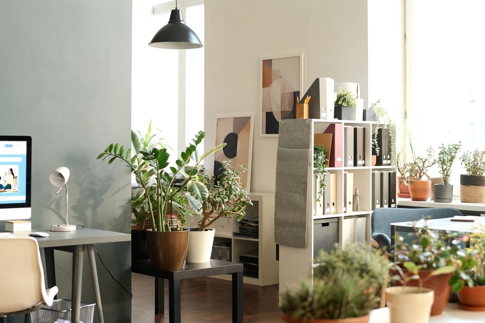 Background image of cozy contemporary office interior decorated with various green potted plants and lit by sunlight